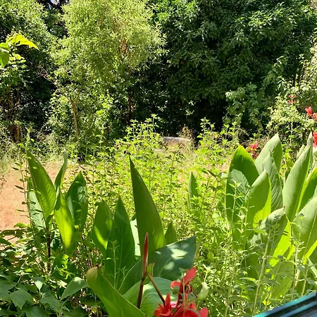 Beach Lili Appartamento